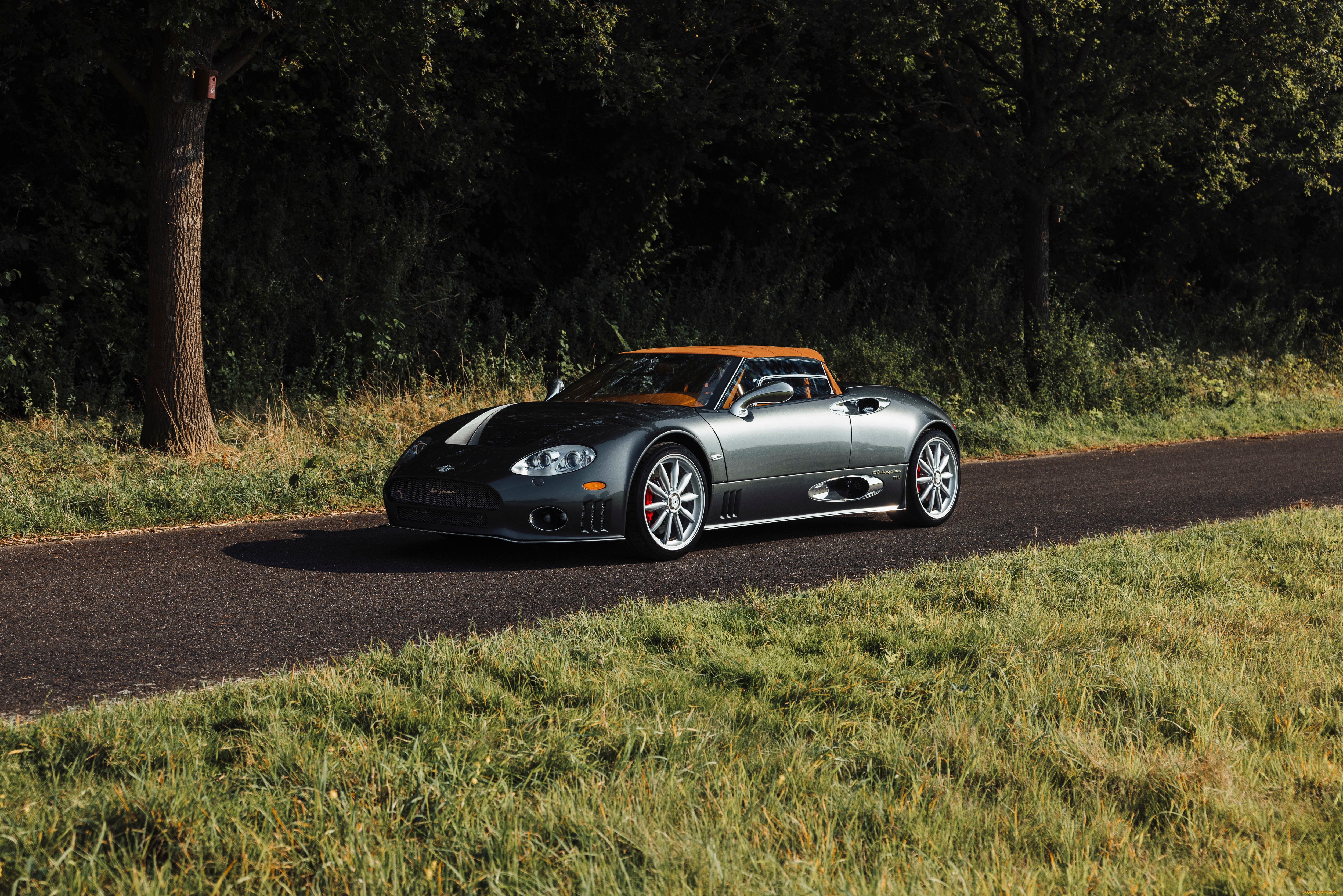, spyker